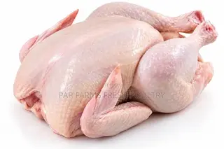 Freshly Processed Chicken Whole Chicken