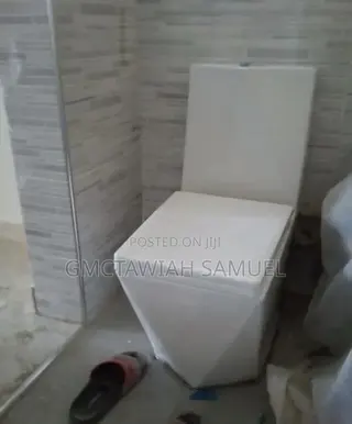Professional Plumber