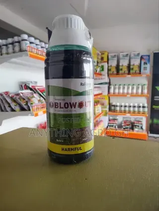 Blowout 1l. Non-Selective Herbicide