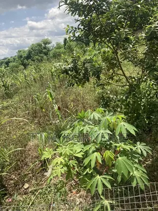One Plot of Land in Berekum Kato