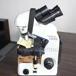 Olympus Ch 23