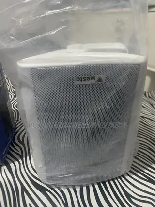 Wall Mount Speaker