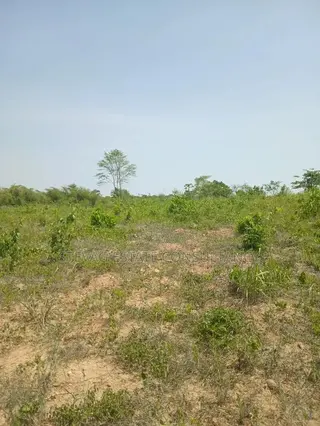 Estate Land for Sale at Amasaman Obom Ashifla