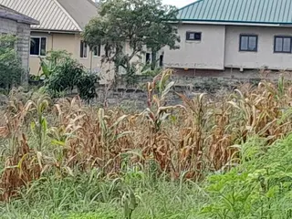 Plot for Sale at Effia Nkwanta