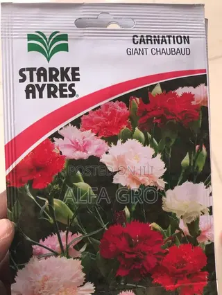 Sweet Scented Flower Seeds(3 in 1)