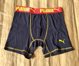 Inner Stretch ( Shorts)