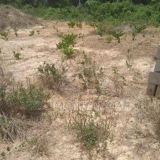 Full Plot for Sale at Queen of Peace Inside
