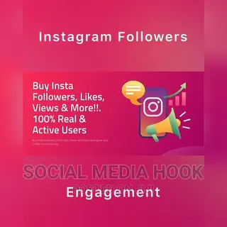 Instagram Followers and Engagement Promotion
