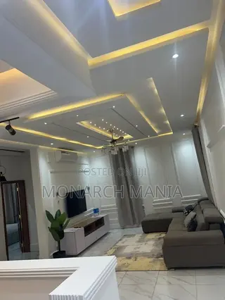 Professional Electrician