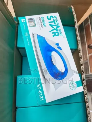 Winning Star Steam Iron