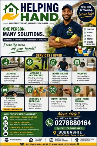 The Handy Man