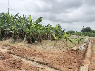 One Plot for Sale at Sokoban Konkoli