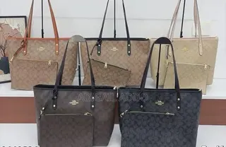 Coach Ladies Bag