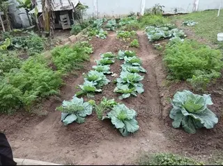 FarmNest GH-Backyard Container Farm Setup|Home Farming Solutions .