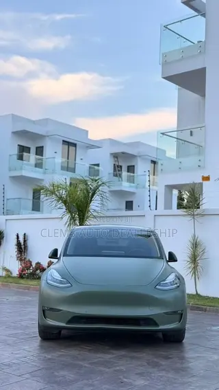 Tesla Model Y Long Range AWD 2022 Green