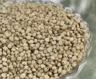 Sorghum Grains