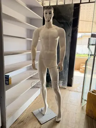 Male Mannequin