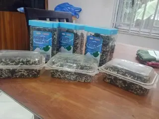 Butterfly Pea Flower for Sale