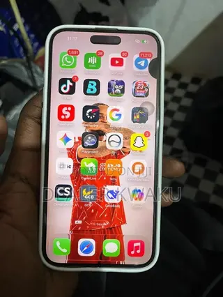 Apple iPhone 15 Pro Max 256 GB Gray