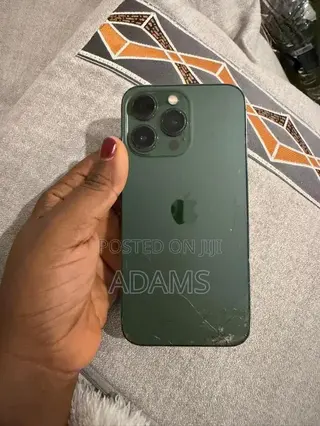 Apple iPhone 13 Pro 256 GB Green