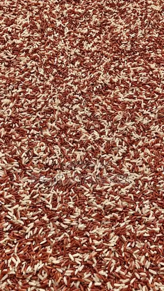 Brown Fiber