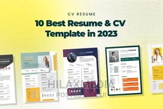 Professional CV or Resume Design Services