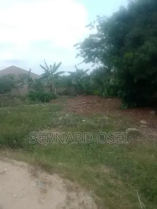 Plots and Lands
