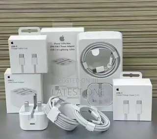 Original iPhone Charger