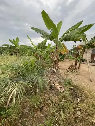 Full Plot of Land Going Out for Sale at Lomnava -Oyibi