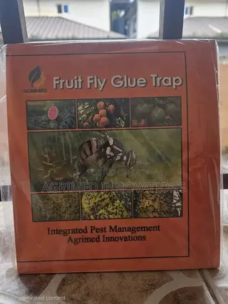 Fruit Fly Glue Trap / Insect Trap - Yellow