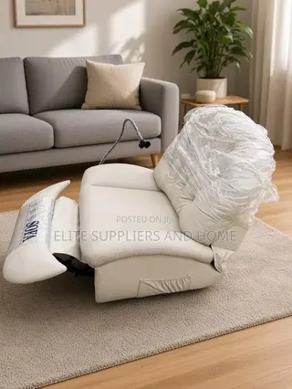 Recliner/ Leisure Chair