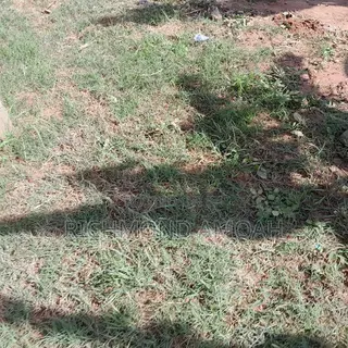 Half Plot for Sale at Ntankoful