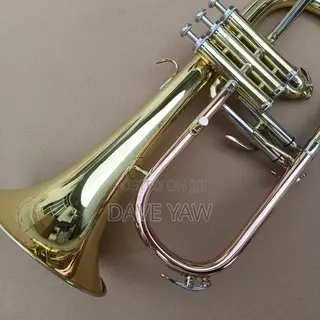Frugal Horn