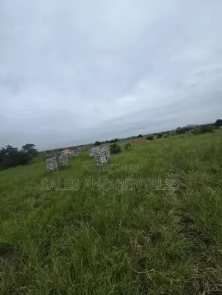 Dawhenya Land