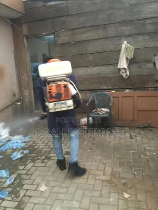 Good News Fumigation Against Insects and Replied