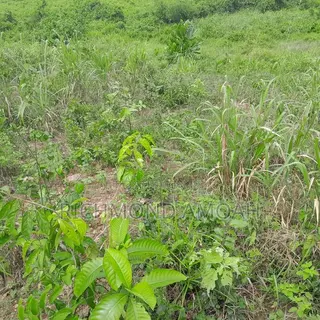 Plot for Sale at Kansa City