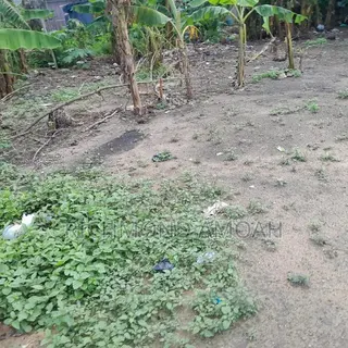 Half Plot for Sale at Kansa City