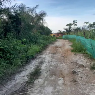 Full Plot for Sale at Apowa Skylimit Road