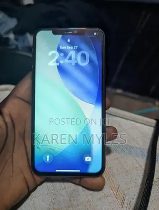 Apple iPhone 11 Pro Max 256 GB Graphite