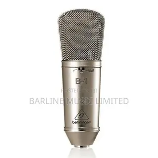 Behringer B1 Microphone