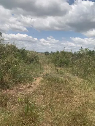Litigation-Free Land at Sege Junction - Free Site Visit - Call Madula