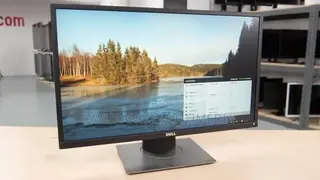 Dell P2417H 24" Full HD IPS Business Monitor