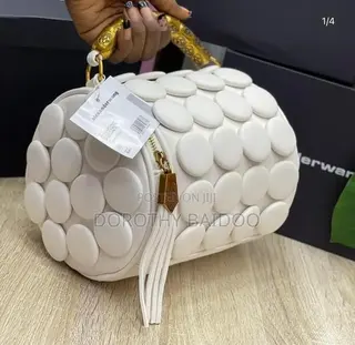 Explendid Bag for Ladies