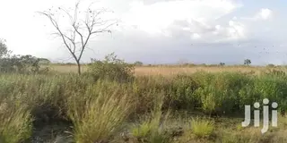 10.000 Acres of Land for Lease