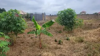 Titled Land for Sale