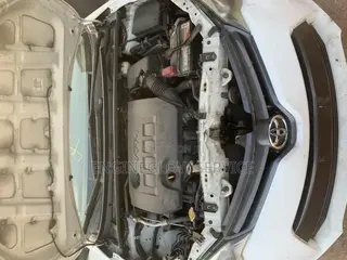 Cleaning Service