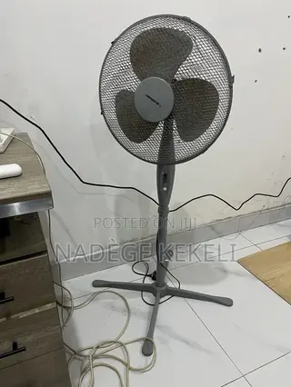 Standing Fan