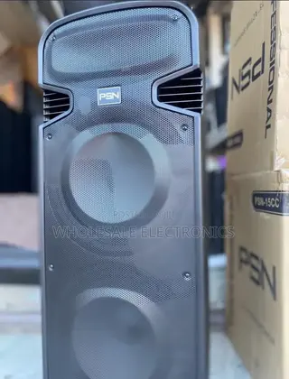 PSN Rechargeable Speaker Double 15 Inches