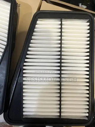 Kia Stinger Oem Engine Filters LH-RH