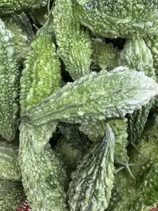 Fresh Bitter Melon